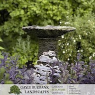 Gayle Burbank Website Redesign